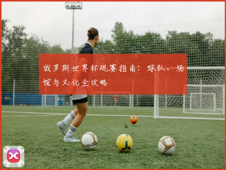 俄罗斯世界杯观赛指南：球队、场馆与文化全攻略