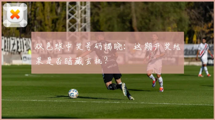 双色球中奖号码揭晓:这期开奖结果是否暗藏玄机?